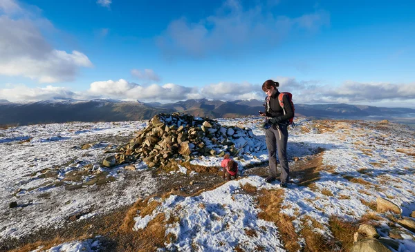 Fotvandrare gå deras hund på en skogsstig — Stockfoto