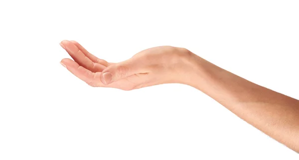 Vrouwelijke Hand met iets — Stockfoto