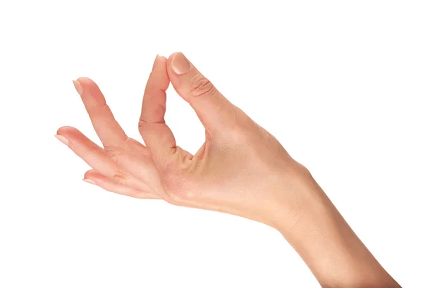 Женская рука поднимает — стоковое фото