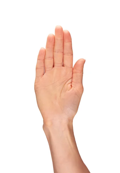 Выбор женской руки — стоковое фото