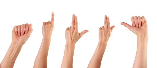 Collection of female hands pointing — Stock Photo, Image