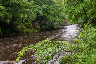 uzun yürüyüşe çıkan kimse geçiş asma köprü
