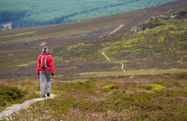 Yolda yürürken uzun yürüyüşe çıkan kimse