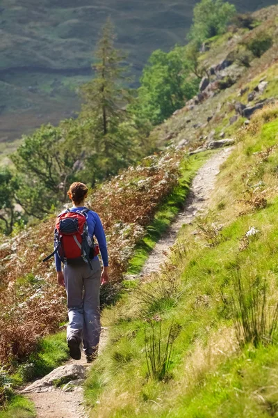 Lake District olduğunu yürüyüş kadın uzun yürüyüşe çıkan kimse — Stok fotoğraf