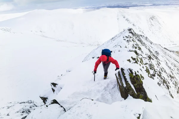 Female hiker climbing on route to summit — Stock Photo, Image