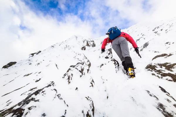 Female hiker climbing on route to summit — Stock Photo, Image