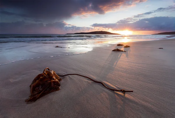 如诗如画 sunsat 在岩石的海滨 — 图库照片