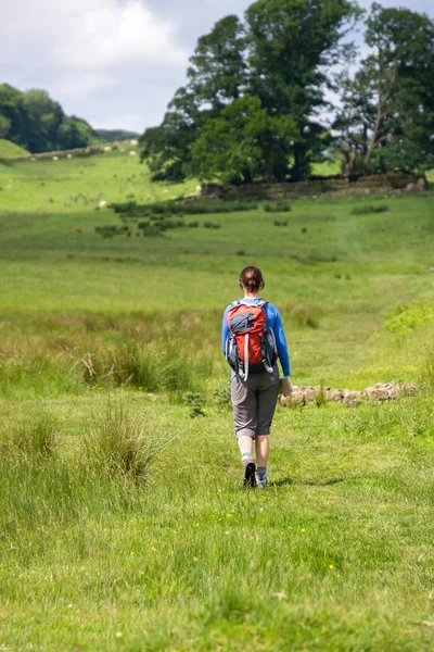 Hiker walking  Hadrians Wall Walk — Stock Photo, Image