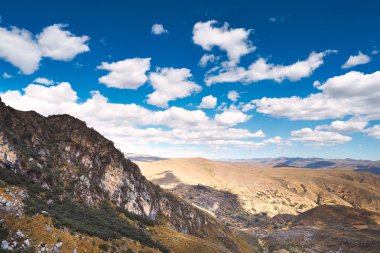 Peru Andes dağ çayırları