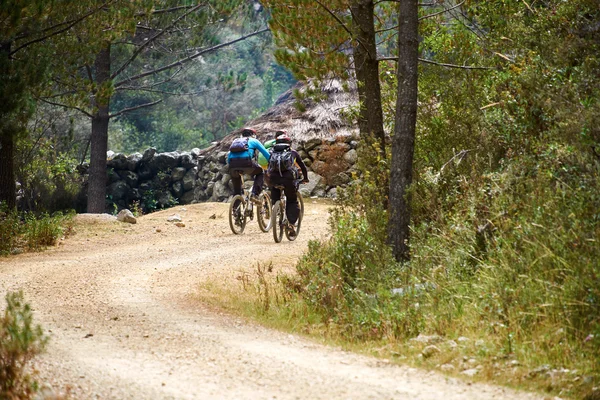 Mountainbiken op pittoreske onverharde weg — Stockfoto