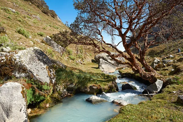 Arroyo de montaña en valle Llaca —  Fotos de Stock