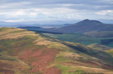 Rolling hills of Northumberland clipart