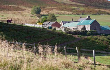 Northumberland, Kuzey Doğu İngiltere çiftlik evinde. İngiltere.