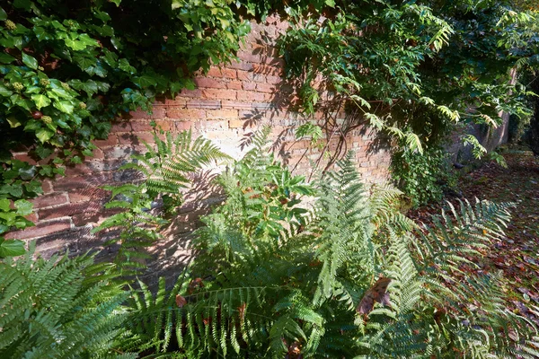 Pared de ladrillo rojo — Foto de Stock