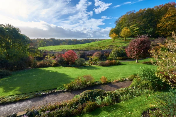 Wellington House Gardens — Stockfoto