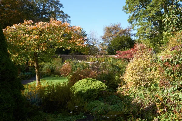 Jardines de la casa de Wellington. —  Fotos de Stock