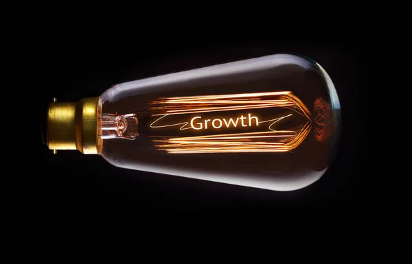 Tillväxt koncept i retro glödtråden glödlampa — Stockfoto