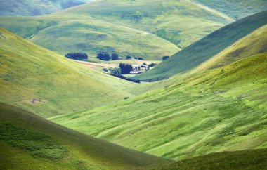 Tepeler arasında yer alan bir çiftlik