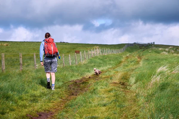 Una mujer paseando con su perro — Foto de Stock