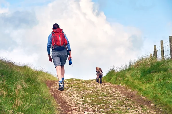 Eine Frau geht mit ihrem Hund spazieren — Stockfoto