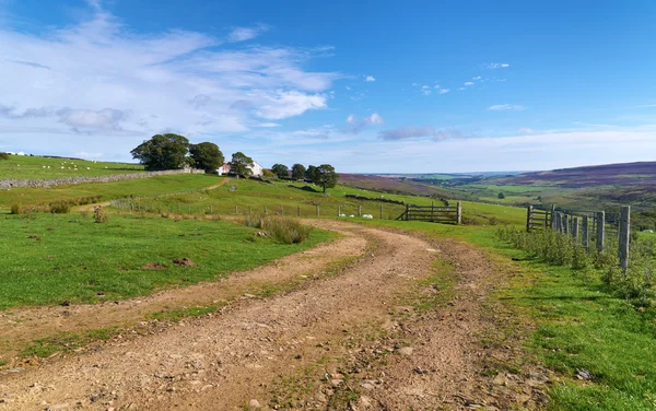 Dirt track leading to farm buildings — Stock Photo, Image