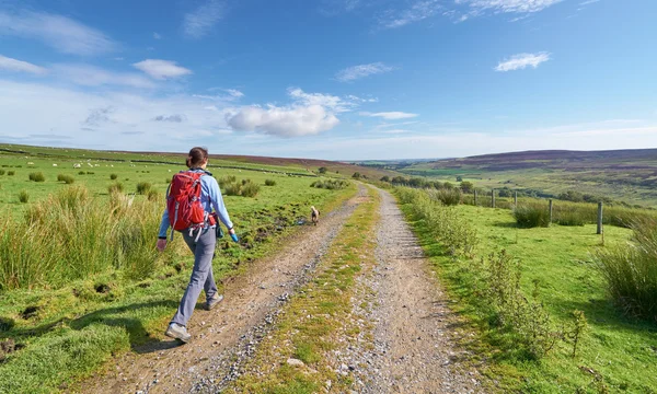 Female hiker walking her dog — Stock Photo, Image