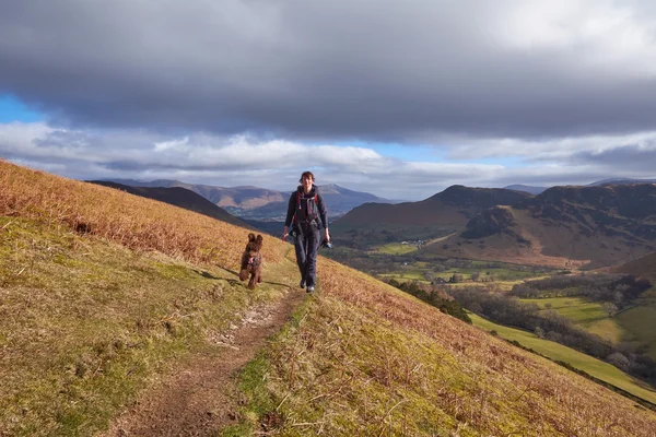 Female hiker walking with dog — Stock Photo, Image