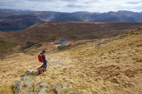 Female hiker walking with dog — Stock Photo, Image