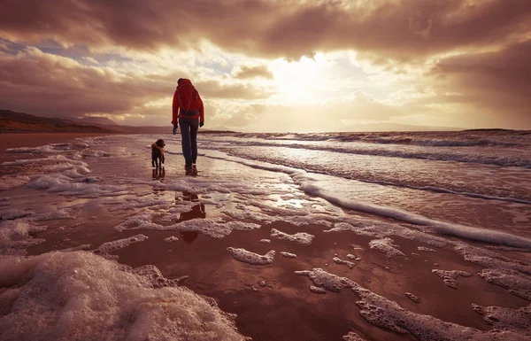 En kvinna på stranden med sin hund — Stockfoto