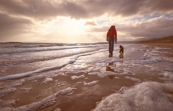 En kvinna på stranden med sin hund — Stockfoto