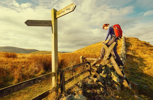 Mujer caminando en el campo inglés — Foto de Stock