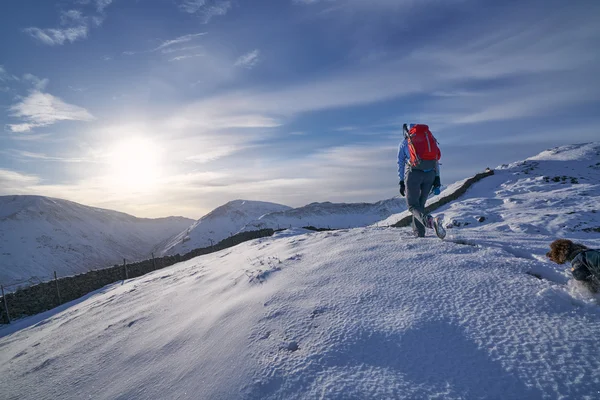 Female hiker with her dog — Stock Photo, Image