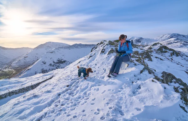 Kvinnliga vandrare och hennes hund — Stockfoto