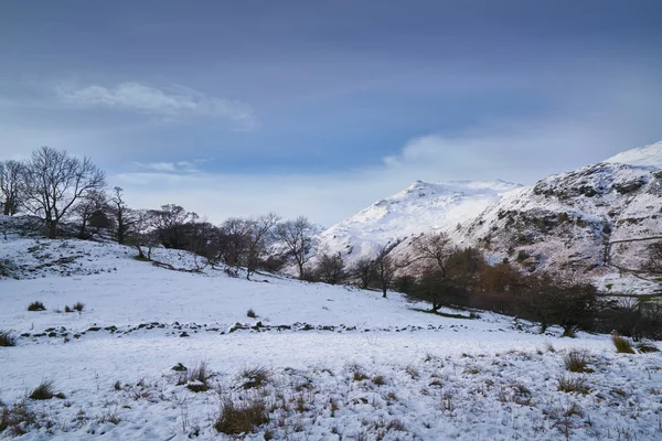 Scène de montagne hivernale — Photo