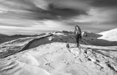 Onu köpek ile kadın fiyatı