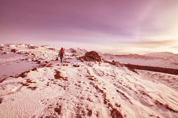 Wandern über schneebedeckte Berge — Stockfoto