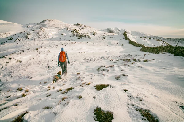 Senderismo con un perro sobre montañas — Foto de Stock