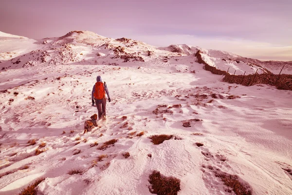 Senderismo con un perro sobre montañas — Foto de Stock