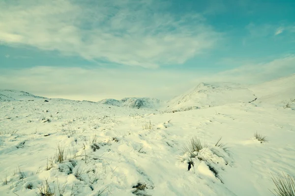 Scena di montagna invernale — Foto Stock