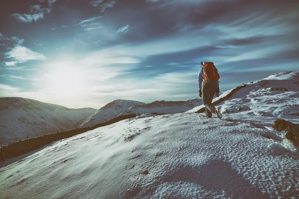 Wanderin mit ihrem Hund — Stockfoto