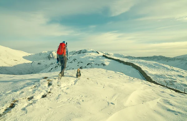 Kvinnliga vandrare med sin hund — Stockfoto