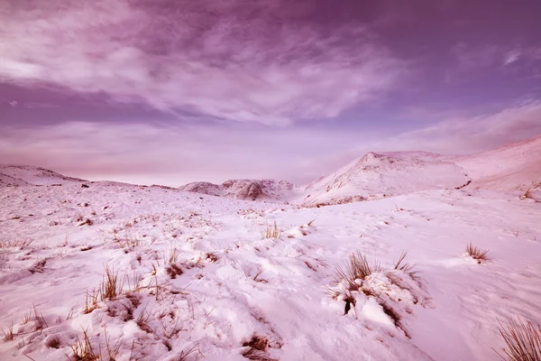 Scène de montagne hivernale — Photo