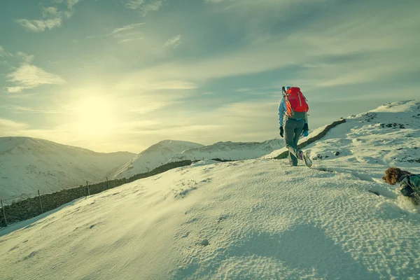 Female hiker with her dog — Stock Photo, Image