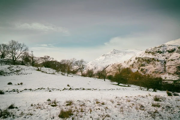 Scena di montagna invernale — Foto Stock