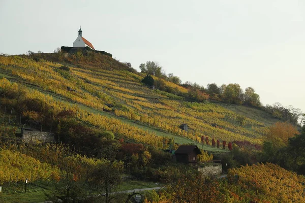 Paisaje Otoñal Con Colores Indios Verano Wurmlingen Alemania Con Capilla —  Fotos de Stock