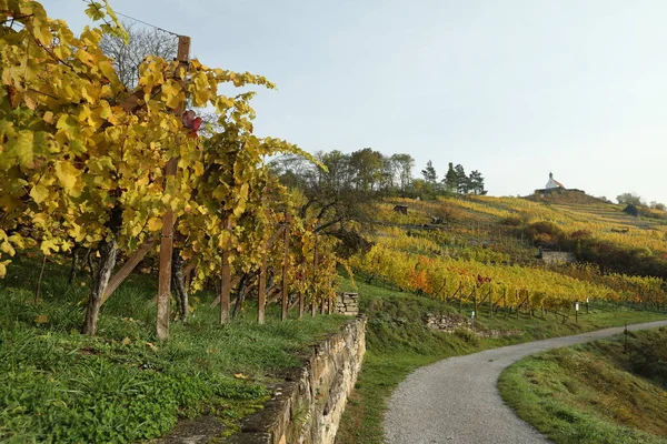 Paesaggio Autunnale Con Colori Dell Estate Indiana Wurmlingen Germania Con — Foto Stock