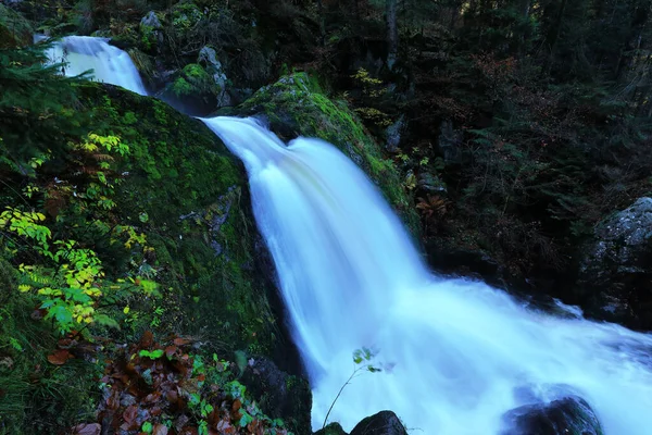 Černý Les Triberg Vodopád Baden Wuerttemberg — Stock fotografie