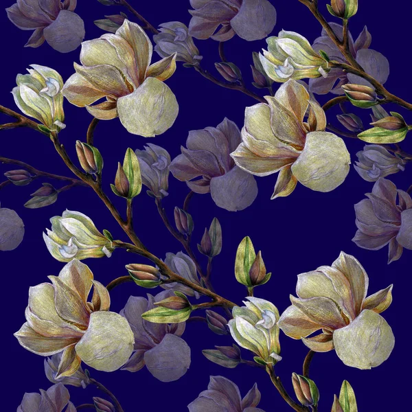 Květiny Magnólie Pupenem Kreslení Barevných Tužkách Bezešvé Vzor Fialovém Pozadí — Stock fotografie