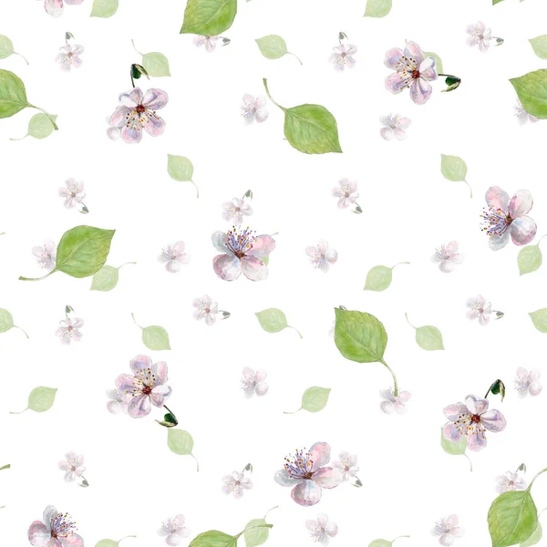 Λουλούδια Φύλλα Ζωγραφικής Ακουαρέλα Ανοιξιάτικη Σύνθεση Απρόσκοπτη Μοτίβο Λευκό Φόντο — Φωτογραφία Αρχείου