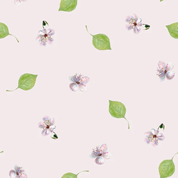 Blumen Mit Blättern Aquarell Frühjahrszusammensetzung Nahtloses Muster Auf Milchhintergrund — Stockfoto